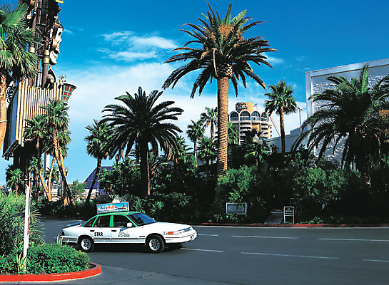 포토 JPG 주간 나무 식물 구름 해외풍경 해외 건축물 도로 육상교통 한대 자동차 하늘 거리 아메리카 거리풍경 풍경 사람없음 야외 건물 관광지 도시풍경 야자수 맑음 미국 차도 도시 열대식물 택시 라스베가스 국내포토 자연요소 1 건축 길 교통수단 여행 북아메리카 교통시설 승용차 날씨 대륙 파일형식