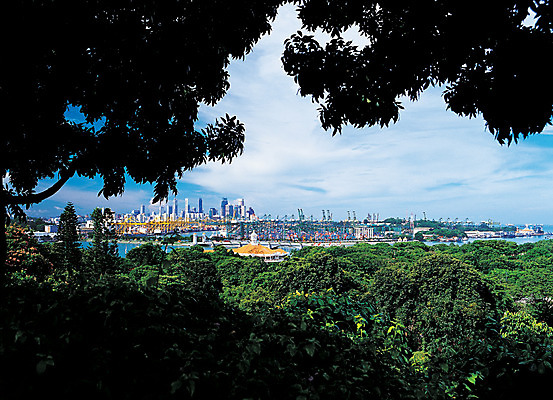 포토 JPG 주간 나무 식물 해외풍경 해외 건축물 그림자 풍경 사람없음 야외 건물 도시풍경 항구 고층빌딩 도시 숲 무역항 싱가폴 국내포토 자연요소 건축 아시아 교통시설 빌딩 무역 파일형식