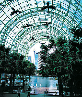 포토 JPG 나무 식물 해외풍경 해외 건축물 바다 조류 실내 사람 풍경 여러명 건물 도시풍경 야자수 조형물 도시 호주 아치 시드니 국내포토 동물 건축 다수 미술 내부 오세아니아 파일형식