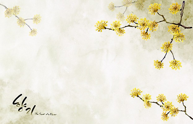 PSD 식물 꽃 백그라운드 꽃백그라운드 일러스트 봄꽃 캘리그라피 자연 페인터 수채화 수묵화 사람없음 노란색 봄 향기 손그림 산수유 봄배경 국내일러스트 계절 컬러 페인팅 미술 생태계 냄새 파일형식