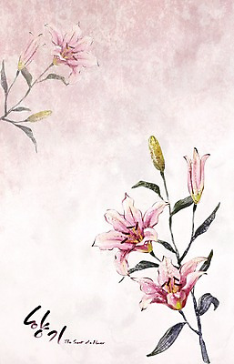 PSD 식물 꽃 분홍색 백그라운드 꽃백그라운드 일러스트 봄꽃 캘리그라피 자연 페인터 수채화 수묵화 사람없음 봄 흰색 백합 향기 손그림 봄배경 국내일러스트 계절 컬러 페인팅 미술 생태계 냄새 파일형식