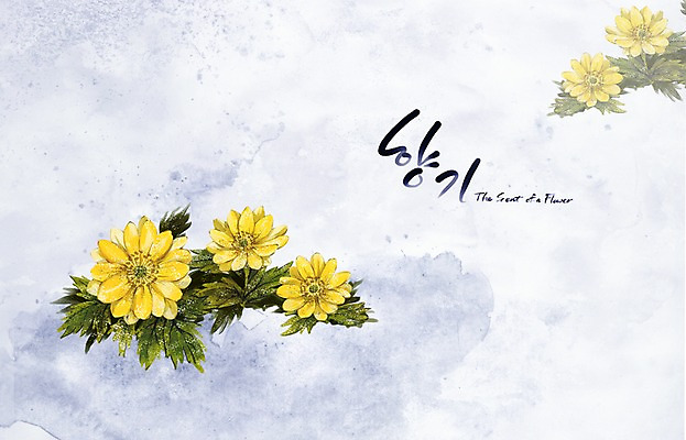 PSD 식물 꽃 백그라운드 꽃백그라운드 일러스트 캘리그라피 자연 페인터 수채화 수묵화 사람없음 노란색 눈 향기 손그림 겨울꽃 복수초 겨울배경 국내일러스트 자연요소 컬러 겨울 페인팅 날씨 미술 생태계 냄새 파일형식