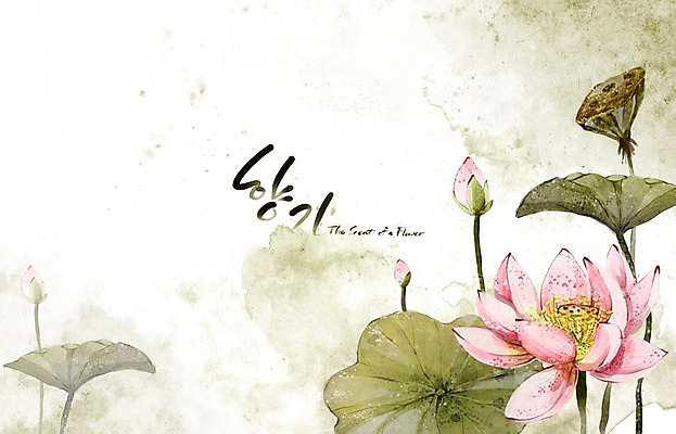 PSD 식물 꽃 호수 분홍색 백그라운드 꽃백그라운드 일러스트 여름꽃 캘리그라피 자연 페인터 수채화 연꽃 수묵화 사람없음 여름 연못 향기 손그림 국내일러스트 계절 컬러 페인팅 미술 생태계 냄새 파일형식 여름_계절