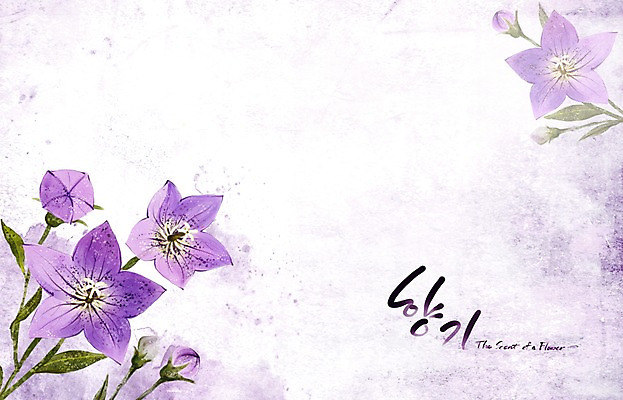 PSD 식물 꽃 백그라운드 꽃백그라운드 일러스트 여름꽃 캘리그라피 자연 페인터 수채화 수묵화 사람없음 여름 보라색 향기 손그림 도라지꽃 국내일러스트 계절 컬러 페인팅 미술 생태계 냄새 파일형식 여름_계절