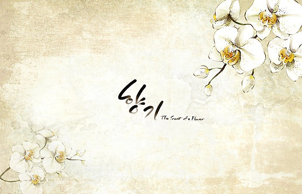 PSD 식물 꽃 백그라운드 꽃백그라운드 일러스트 여름꽃 캘리그라피 자연 페인터 수채화 수묵화 사람없음 여름 흰색 난초 향기 손그림 국내일러스트 계절 컬러 페인팅 미술 생태계 냄새 파일형식 여름_계절