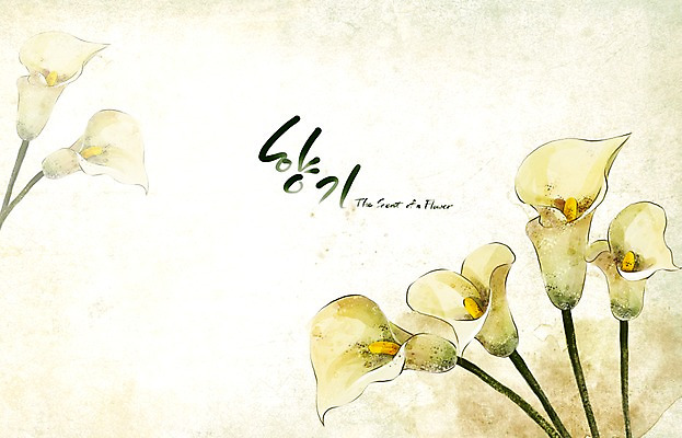 PSD 식물 꽃 백그라운드 꽃백그라운드 일러스트 봄꽃 캘리그라피 자연 페인터 수채화 수묵화 사람없음 봄 카라 향기 손그림 봄배경 국내일러스트 계절 페인팅 미술 생태계 냄새 파일형식
