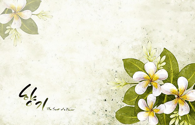 PSD 식물 꽃 백그라운드 꽃백그라운드 일러스트 여름꽃 캘리그라피 자연 페인터 수채화 수묵화 사람없음 여름 흰색 향기 손그림 플루메리아 국내일러스트 계절 컬러 페인팅 미술 생태계 냄새 파일형식 여름_계절