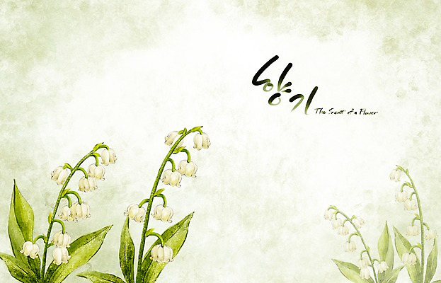 PSD 식물 꽃 백그라운드 꽃백그라운드 일러스트 봄꽃 캘리그라피 자연 페인터 수채화 수묵화 사람없음 봄 흰색 향기 손그림 은방울꽃 봄배경 국내일러스트 계절 컬러 페인팅 미술 생태계 냄새 파일형식