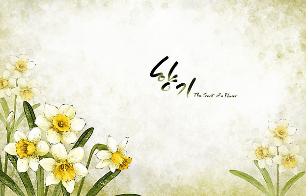 PSD 식물 꽃 백그라운드 꽃백그라운드 일러스트 봄꽃 캘리그라피 자연 페인터 수채화 수묵화 사람없음 봄 흰색 향기 손그림 수선화 봄배경 국내일러스트 계절 컬러 페인팅 미술 생태계 냄새 파일형식