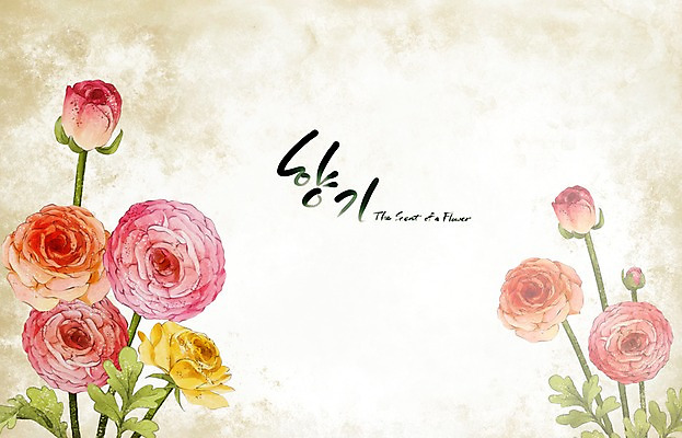 PSD 식물 꽃 백그라운드 꽃백그라운드 일러스트 봄꽃 캘리그라피 자연 페인터 수채화 수묵화 사람없음 빨간색 봄 향기 손그림 라넌큘러스 봄배경 국내일러스트 계절 컬러 페인팅 미술 생태계 냄새 파일형식