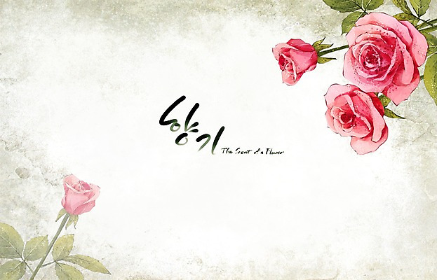 PSD 식물 꽃 백그라운드 꽃백그라운드 일러스트 여름꽃 캘리그라피 자연 페인터 수채화 수묵화 사람없음 빨간색 여름 장미 향기 손그림 국내일러스트 계절 컬러 페인팅 미술 생태계 냄새 파일형식 여름_계절