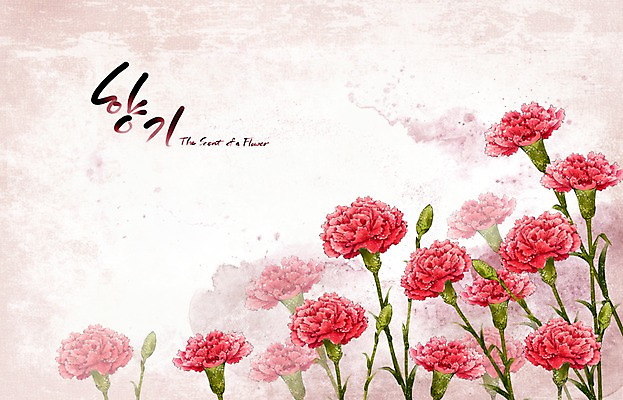 PSD 식물 꽃 백그라운드 꽃백그라운드 일러스트 봄꽃 캘리그라피 자연 페인터 수채화 수묵화 사람없음 빨간색 봄 카네이션 향기 손그림 봄배경 국내일러스트 계절 컬러 페인팅 미술 생태계 냄새 파일형식