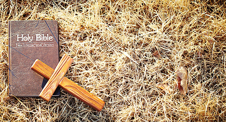 포토 JPG 기독교 종교 십자가 낙엽 종교용품 기독교용품 사람없음 야외 성경 볏짚 오브젝트 나무십자가 국내포토 잎 짚 파일형식