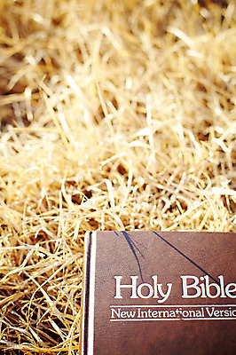 포토 JPG 기독교 종교 종교용품 기독교용품 사람없음 야외 성경 볏짚 오브젝트 국내포토 짚 파일형식