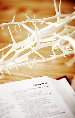 포토 JPG 기독교 종교 종교용품 기독교용품 실내 사람없음 성경 판넬 가시 오브젝트 가시면류관 국내포토 내부 파일형식