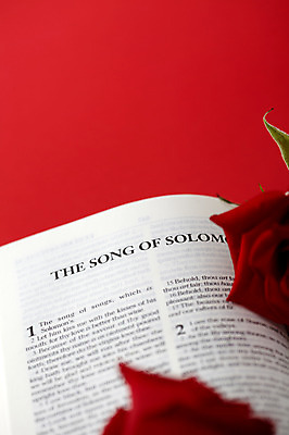 포토 JPG 꽃 기독교 종교 종교용품 기독교용품 실내 사람없음 빨간색 장미 성경 오브젝트 국내포토 식물 컬러 내부 파일형식