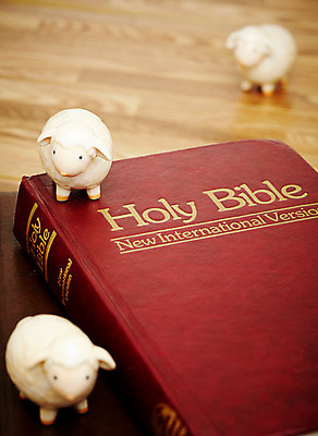 포토 JPG 기독교 종교 인형 종교용품 기독교용품 바닥 실내 사람없음 목재 성경 양 판넬 오브젝트 국내포토 나무 재료 포유류 내부 파일형식