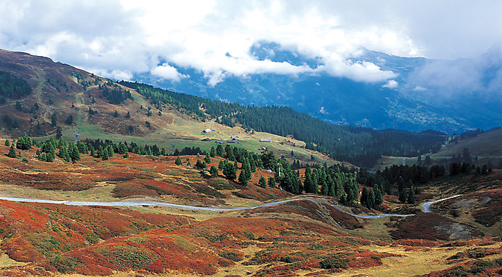 포토 JPG 나무 식물 구름 해외풍경 해외 유럽 유럽풍경 자연 하늘 산 파노라마 풍경 사람없음 하이앵글 숲 스위스 상쾌 산등성이 알프스 알프스산 융프라우 국내포토 자연요소 감정 나라 뷰포인트 촬영기법 생태계 파일형식