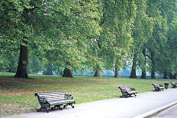 포토 JPG 주간 나무 식물 해외풍경 해외 공원 유럽 컬러 벤치 의자 유럽풍경 자연 영국 여러그루 풍경 사람없음 야외 초록색 침묵 고요 상쾌 런던 하이드파크 국내포토 자연요소 공공시설 감정 나라 가구 다수 소리 생태계 파일형식