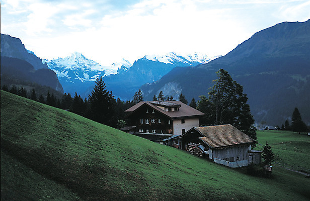 포토 JPG 주간 나무 식물 해외풍경 해외 유럽 유럽풍경 자연 산 주택 풍경 사람없음 야외 눈 숲 산장 스위스 언덕 상쾌 산등성이 알프스 만년설 산속 알프스산 국내포토 자연요소 감정 나라 날씨 건물 생태계 파일형식