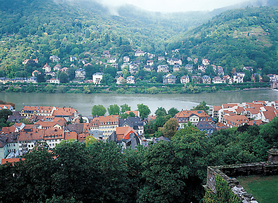 포토 JPG 주간 나무 식물 해외풍경 해외 유럽 유럽풍경 자연 산 주택 독일 풍경 사람없음 야외 강 도시풍경 마을 안개 도시 숲 하이델베르크 국내포토 자연요소 나라 날씨 건물 생태계 파일형식