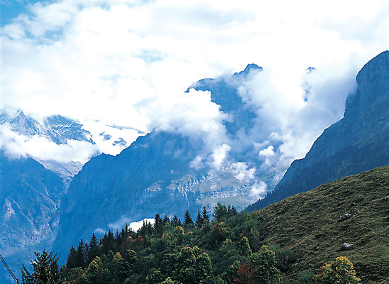 포토 JPG 주간 나무 식물 해외풍경 해외 계절 유럽 겨울 유럽풍경 자연 하늘 산 풍경 사람없음 야외 하이앵글 눈 연기 정상 숲 스위스 산등성이 알프스 만년설 겨울산 알프스산 국내포토 자연요소 나라 뷰포인트 날씨 생태계 파일형식