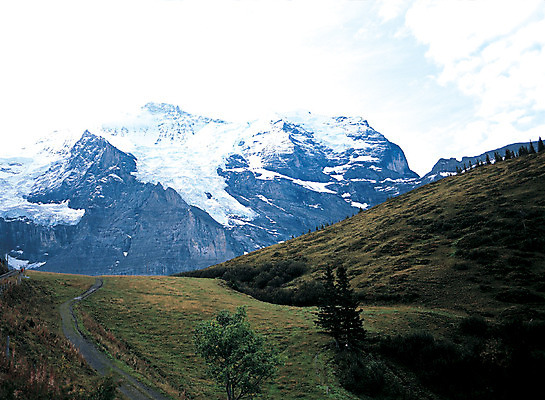 포토 JPG 주간 해외풍경 해외 계절 유럽 겨울 유럽풍경 자연 산 풍경 사람없음 야외 눈 스위스 산등성이 알프스 만년설 겨울산 알프스산 융프라우 국내포토 자연요소 나라 날씨 생태계 파일형식