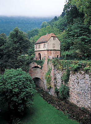 포토 JPG 주간 나무 식물 해외풍경 해외 건축물 건축 유럽 유럽풍경 해외건축 서양건축 자연 산 독일 사람 풍경 여러명 야외 건물 관광지 여행객 도시 성 숲속 숲 고성 하이델베르크 하이델베르크성 고성_옛성 국내포토 자연요소 나라 여행 다수 고건축 생태계 파일형식