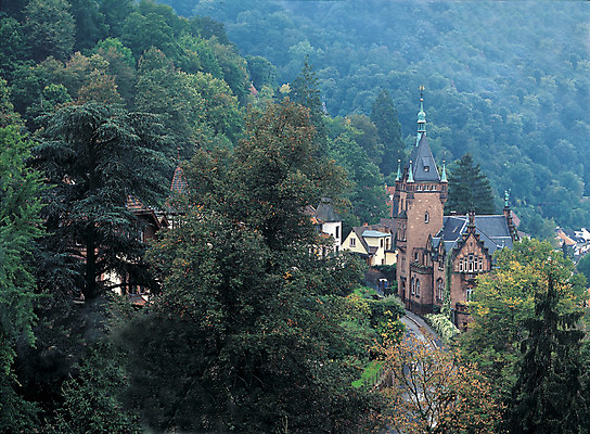 포토 JPG 주간 나무 식물 해외풍경 해외 건축물 건축 유럽 유럽풍경 해외건축 서양건축 자연 산 독일 풍경 사람없음 야외 건물 관광지 하이앵글 도시 성 숲속 숲 고성 하이델베르크 하이델베르크성 고성_옛성 국내포토 자연요소 나라 뷰포인트 여행 고건축 생태계 파일형식
