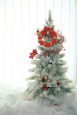 포토 JPG 나무 식물 크리스마스장식 크리스마스 크리스마스용품 실내 사람없음 장식 크리스마스트리 화환 곰인형 장식볼 종 눈 소나무 솜 오브젝트 징글벨 국내포토 자연요소 기념일 꽃 인형 날씨 내부 용품 파일형식