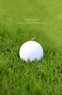 PSD 편집 편집이미지 한마리 라이프스타일 나비 골프 공 골프장 골프공 건강 잔디 초원 사람없음 라이프 레포츠 운동 구기 건강관리 이미지편집 식물 1 스포츠 곤충 스포츠시설 레저 골프용품 관리 생활 파일형식