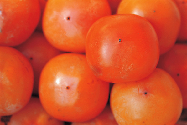 포토 JPG 열매 음식 컬러 다수 백그라운드 과일 감 사람없음 아웃포커스 농작물 하이앵글 쌓기 주황색 여러개 홍시 국내포토 식물 뷰포인트 농업 모션 촬영기법 파일형식