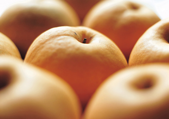 포토 JPG 스튜디오촬영 열매 음식 컬러 다수 과일 실내 사람없음 아웃포커스 농작물 갈색 여러개 배 국내포토 식물 농업 촬영기법 내부 파일형식