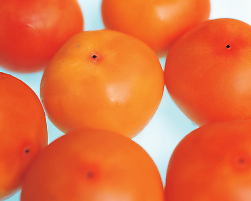 포토 JPG 스튜디오촬영 열매 음식 컬러 다수 과일 실내 감 사람없음 아웃포커스 농작물 주황색 여러개 홍시 국내포토 식물 농업 촬영기법 내부 파일형식