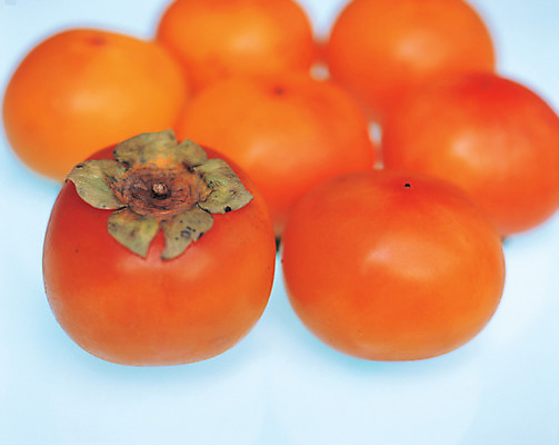 포토 JPG 스튜디오촬영 열매 음식 컬러 다수 과일 실내 감 사람없음 아웃포커스 농작물 하이앵글 주황색 여러개 홍시 국내포토 식물 뷰포인트 농업 촬영기법 내부 파일형식