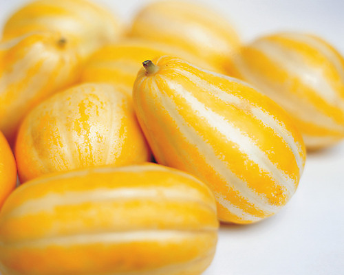 포토 JPG 스튜디오촬영 열매 음식 컬러 과일 실내 사람없음 아웃포커스 농작물 노란색 여러개 줄무늬 신선 참외 제철 제철과일 과채 국내포토 식물 다수 무늬 농업 채소 촬영기법 내부 파일형식