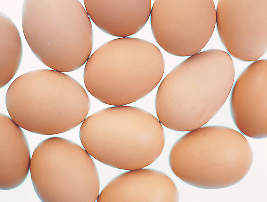 포토 JPG 스튜디오촬영 음식 컬러 다수 백그라운드 식재료 실내 사람없음 갈색 계란 알 여러개 국내포토 내부 파일형식