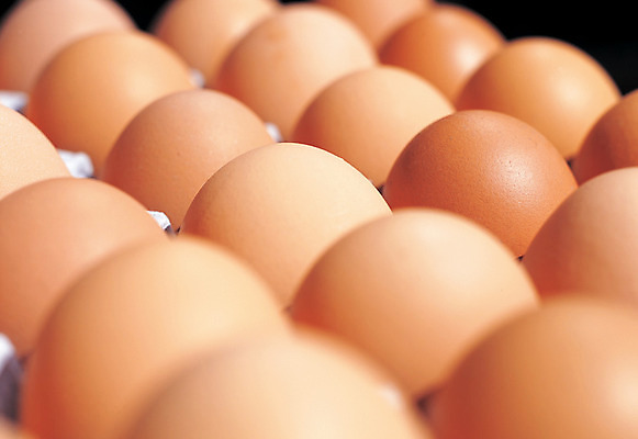 포토 JPG 스튜디오촬영 음식 컬러 다수 식재료 실내 사람없음 갈색 계란 알 여러개 판 계란판 국내포토 내부 파일형식