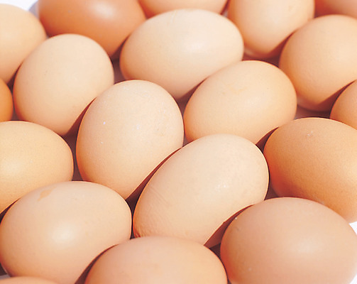 포토 JPG 스튜디오촬영 음식 컬러 다수 식재료 실내 사람없음 갈색 계란 알 여러개 국내포토 내부 파일형식