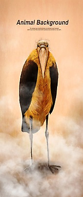 PSD 동물 한마리 백그라운드 일러스트 포유류 페인터 조류 사람없음 독수리 육식동물 시체 대머리독수리 국내일러스트 1 페인팅 파일형식