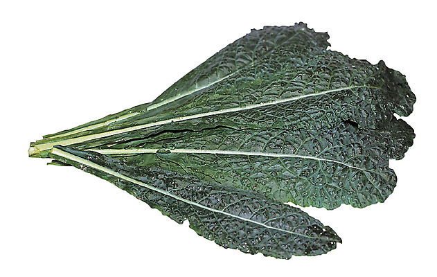 포토 JPG 식물 음식 컬러 다수 잎 채소 식재료 누끼 사람없음 초록색 농작물 여러개 쌈 뉴그린 쌈채소 국내포토 농업 파일형식