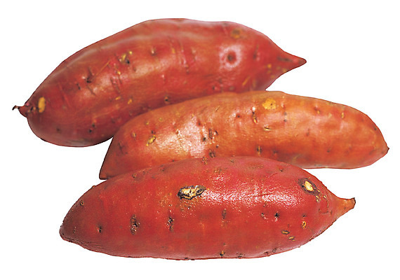 포토 JPG 주간 식물 열매 음식 컬러 채소 식재료 뿌리채소 근접촬영 사람없음 야외 농작물 갈색 세개 자주색 고구마 국내포토 자연요소 뷰포인트 농업 3 파일형식