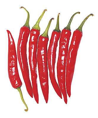 포토 JPG 식물 열매 음식 컬러 다수 채소 식재료 고추 누끼 사람없음 빨간색 초록색 농작물 여러개 국내포토 농업 파일형식