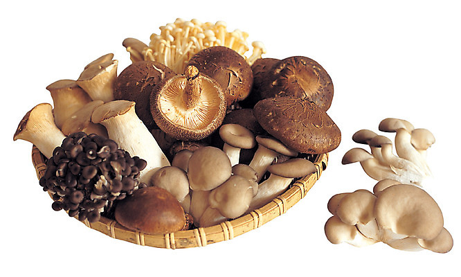 포토 JPG 음식 컬러 채소 식재료 종류 누끼 사람없음 농작물 갈색 바구니 여러개 버섯 다양 식용버섯 팽이버섯 표고버섯 느타리버섯 채반 새송이버섯 국내포토 그릇 다수 농업 파일형식