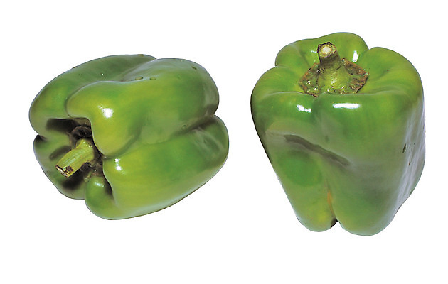 포토 JPG 식물 열매 음식 컬러 채소 식재료 피망 누끼 사람없음 초록색 농작물 두개 국내포토 2 농업 파일형식