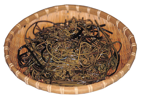 포토 JPG 식물 음식 컬러 잎 채소 식재료 누끼 사람없음 농작물 갈색 바구니 받침대 채반 고사리 삶기 산나물 국내포토 그릇 농업 나물 파일형식