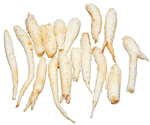 포토 JPG 식물 음식 컬러 다수 채소 식재료 누끼 사람없음 농작물 새싹 깨끗함 여러개 흰색 덩굴 뿌리 손질 더덕 국내포토 컨셉 농업 파일형식