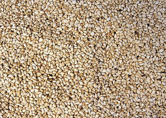 포토 JPG 식물 음식 컬러 다수 백그라운드 식재료 재료 곡류 씨앗 사람없음 농작물 여러개 한의학 약재 한약재 잡곡 홍화씨 국내포토 농업 의학 약 파일형식