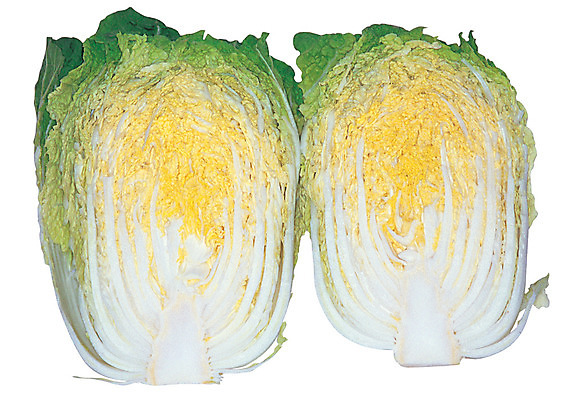 포토 JPG 식물 음식 컬러 채소 식재료 단면 누끼 사람없음 농작물 자르기 배추 반쪽 국내포토 농업 모션 파일형식