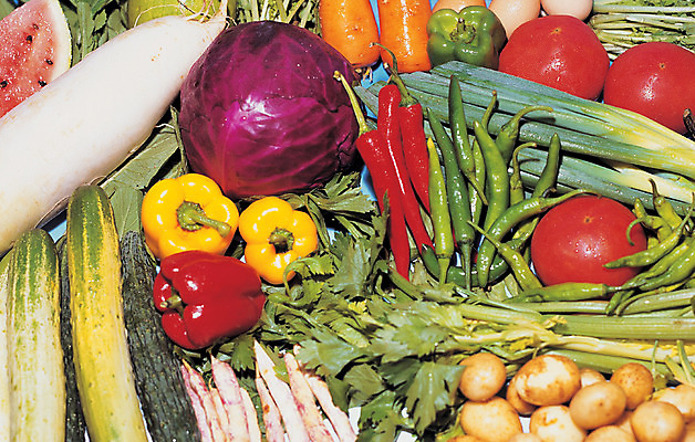 포토 JPG 스튜디오촬영 식물 음식 컬러 토마토 채소 식재료 고추 피망 오이 수박 실내 사람없음 빨간색 농작물 컬러풀 다양 물방울 풋고추 파 샐러리 콩깍지 적채 대파 국내포토 다수 농업 과일 콩 내부 양배추 파일형식